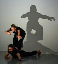 Shadowing by Human Landscape Dance